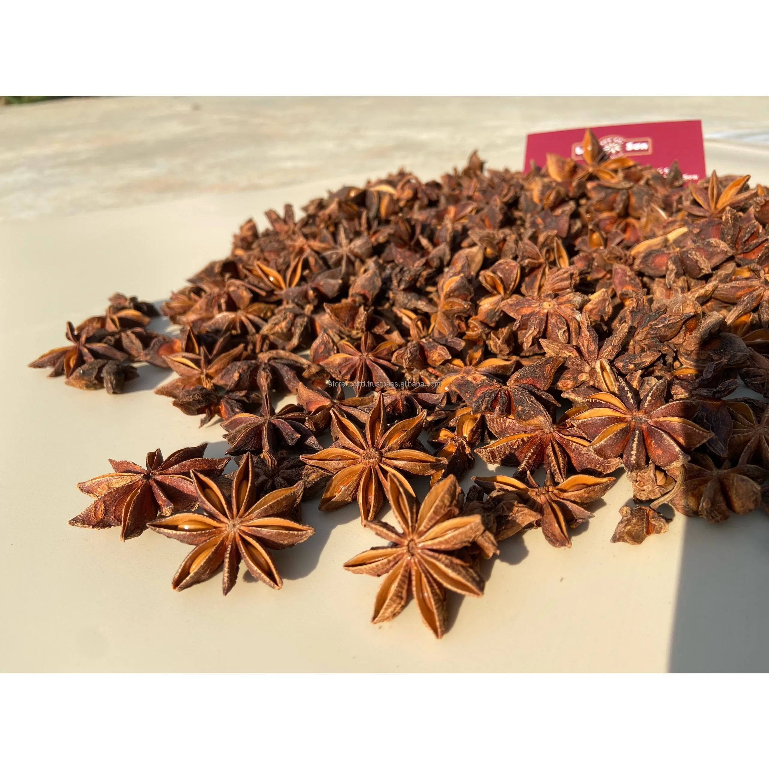 High oil contentStar Anise Autumn Season 2021 Grade AA Premium Quality Whole sales price original from Vietnam