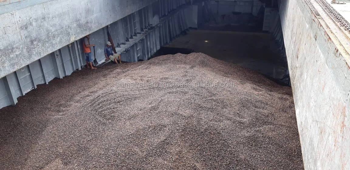 High Quality Palm Kernel With Reasonable Price Origin Indonesia