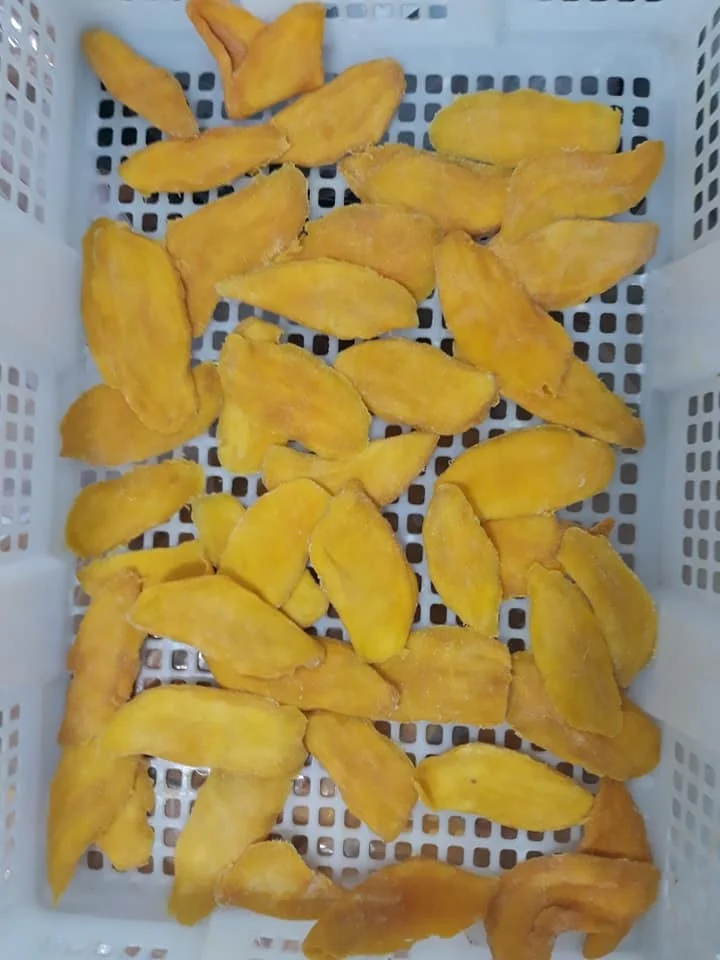 [ Free sample ] Soft Dried Mango Naturally Sweet From Farm Tropical Fruit Snack Soft Dried Mango Slices Prival Label Service