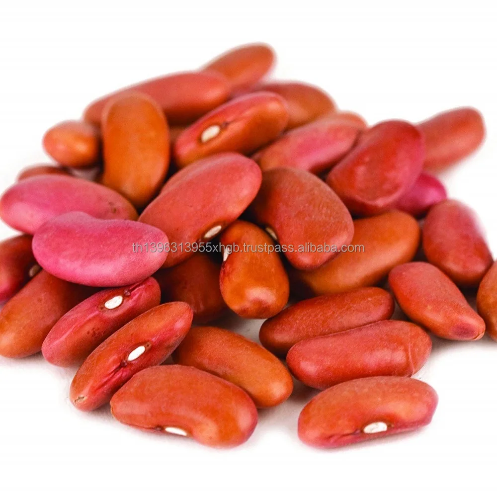 81Bua5KShOL._SL1500_.jpg