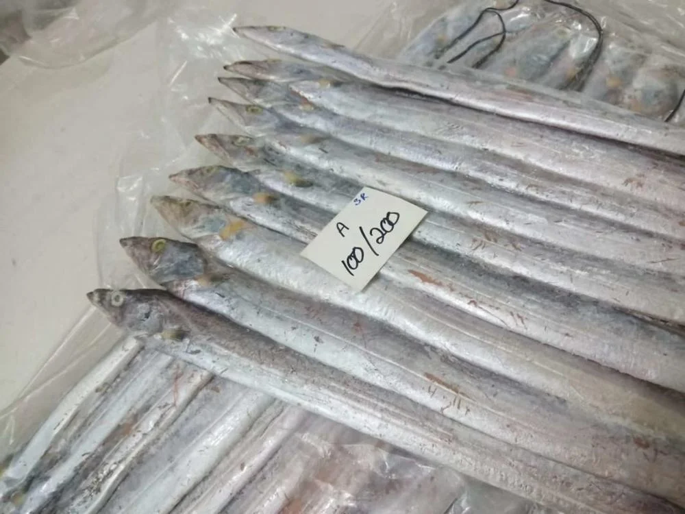 Frozen Ribbon Fish /Best Quality Frozen Seafood Exporter