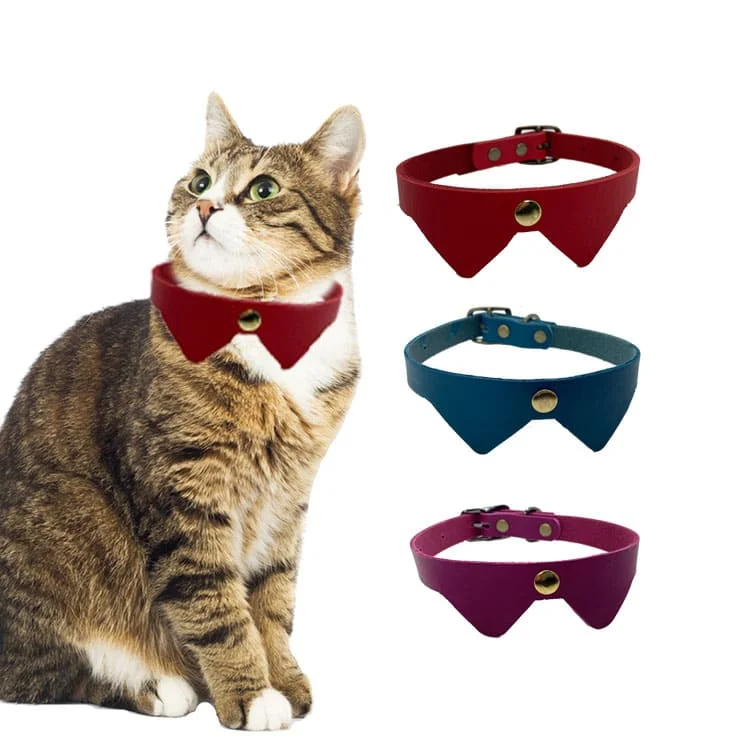 Cat Collar Leather