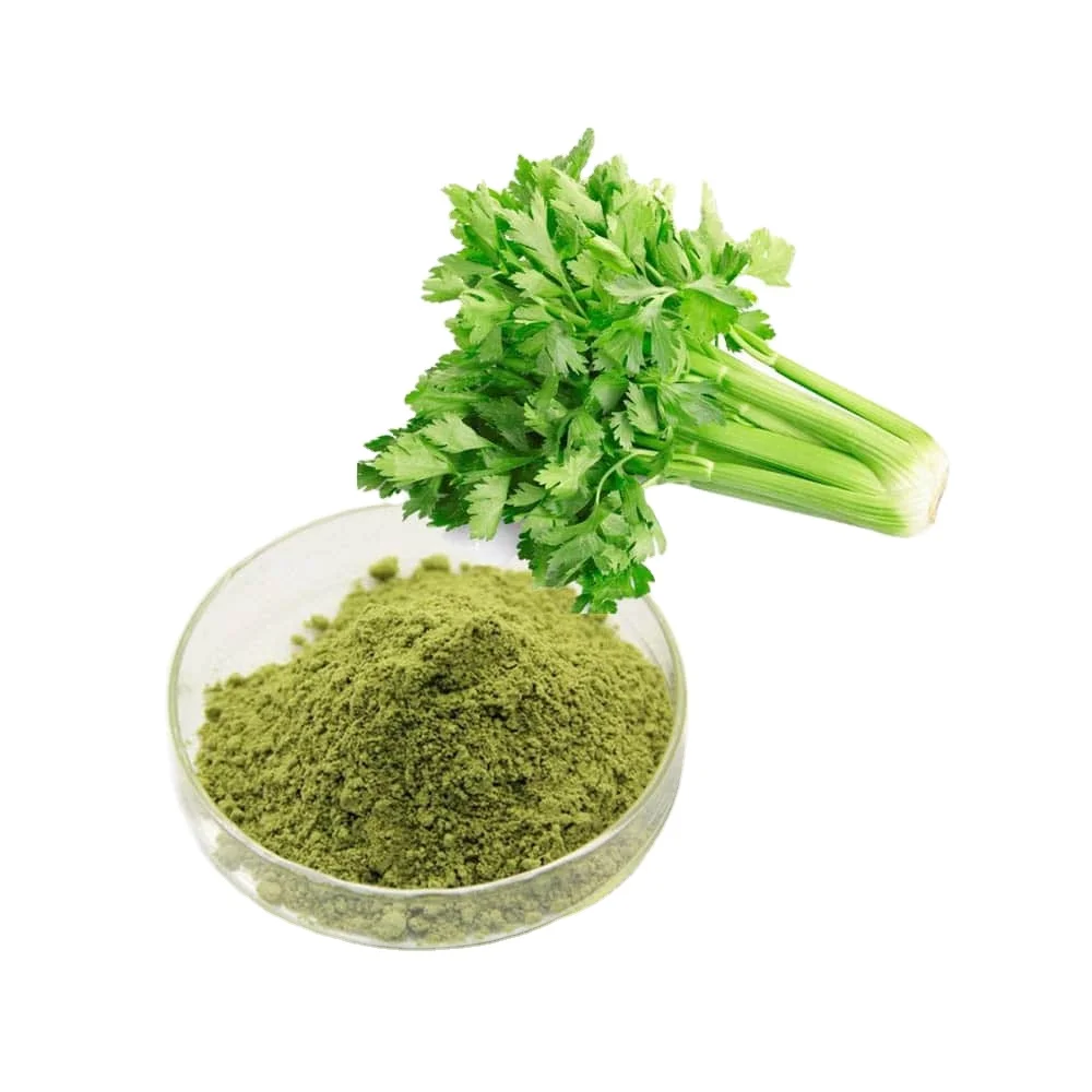 High Quality Freeze-Dried Celery Leaf Powder for Health and Beauty Care Liquid Form Cheap Price from Vietnam Manufacturer