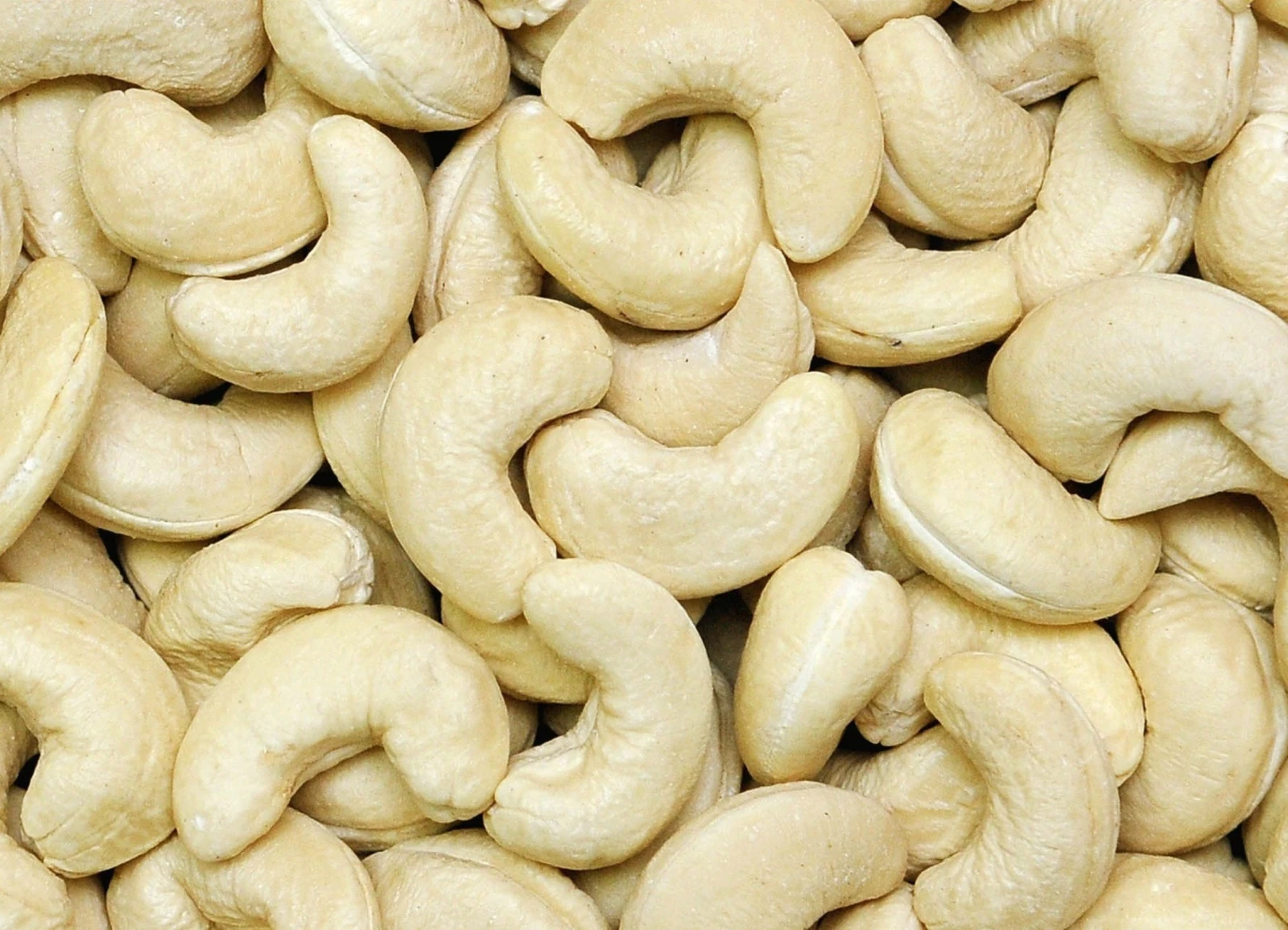 Natural Fresh Cashew Nuts W320 W240 Cashew Nuts Export quality From Vietnam packaged cashew nuts