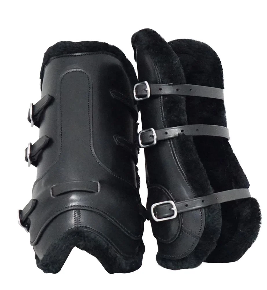 Horse SPlint Boots.