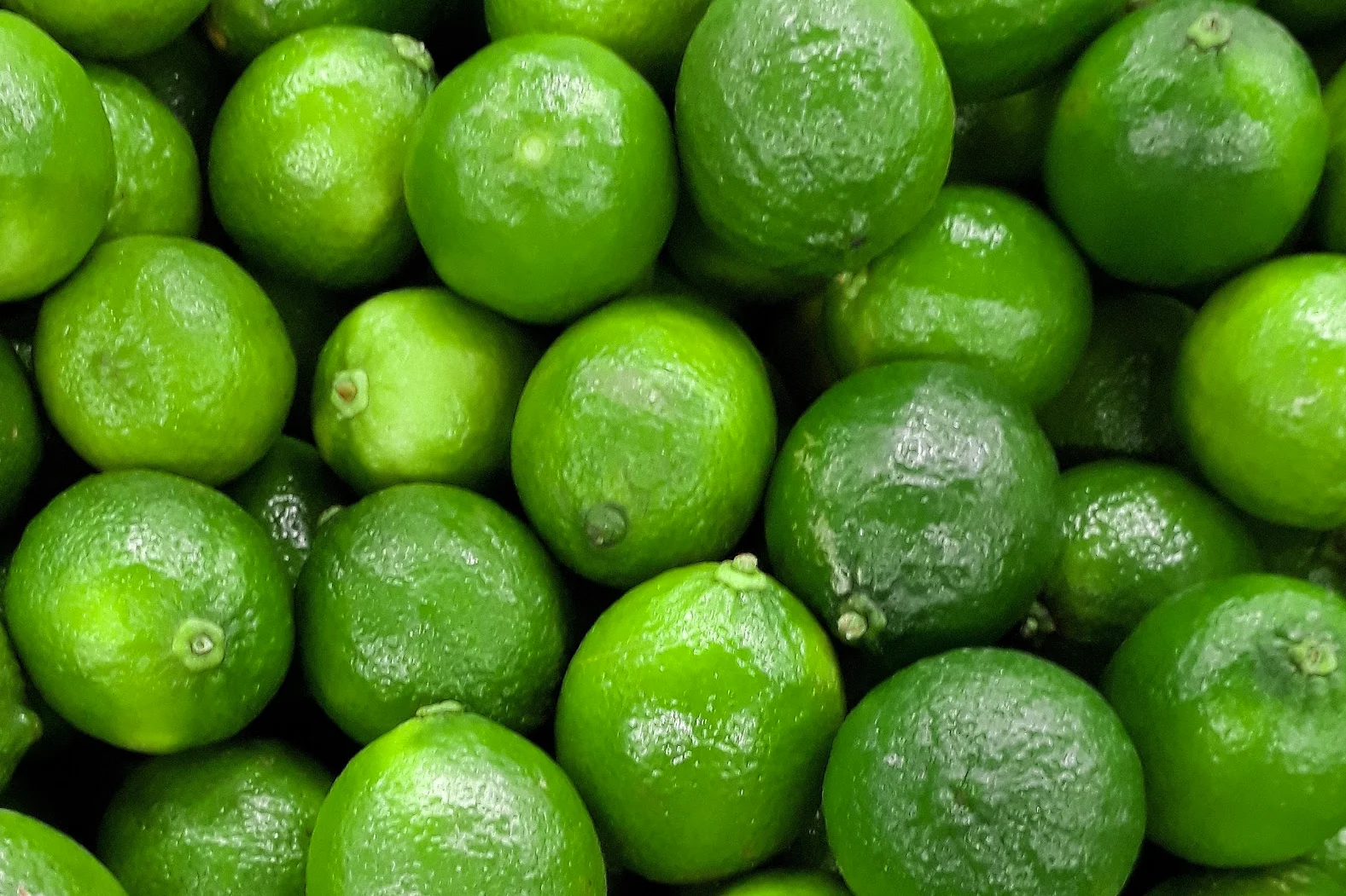 High Quality Fresh Seedless Lime Top Citrus Fruit Export from Vietnam at Low Price