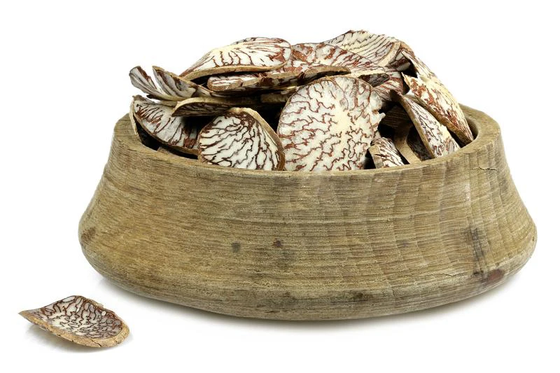 Горячая Распродажа Таиландские гайки Betel готовые к экспорту для индийского рынка