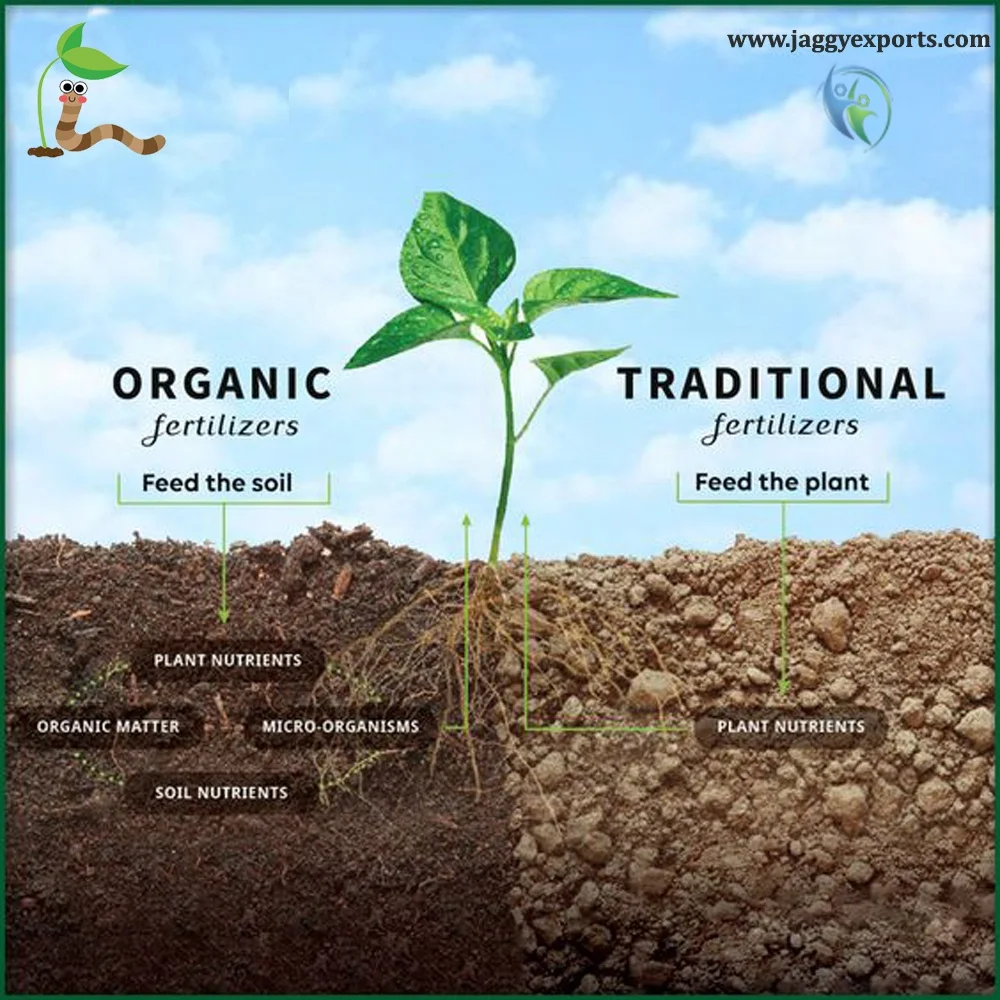 Vermicompost Fertilizer is excreta of earthworms and other bio-organic materials humus and nutrients developed from process