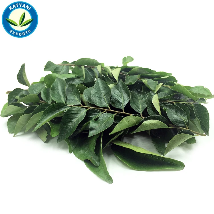 Wholesale Quality Top Selling  Pure And Natural Neem  Essential Oil for Bulk Purchase At Minimal Price
