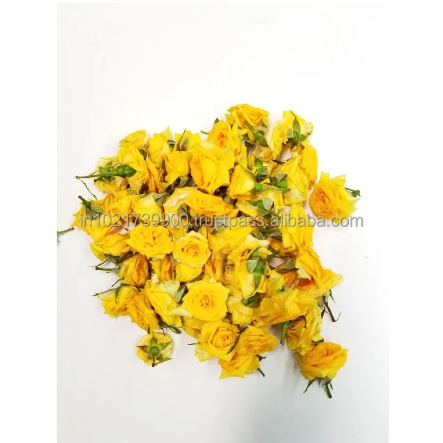 Preserved rose with fresh stem Hot Selling Fresh Stabilized eternal roses Long lasting preserved Yellow Button roses