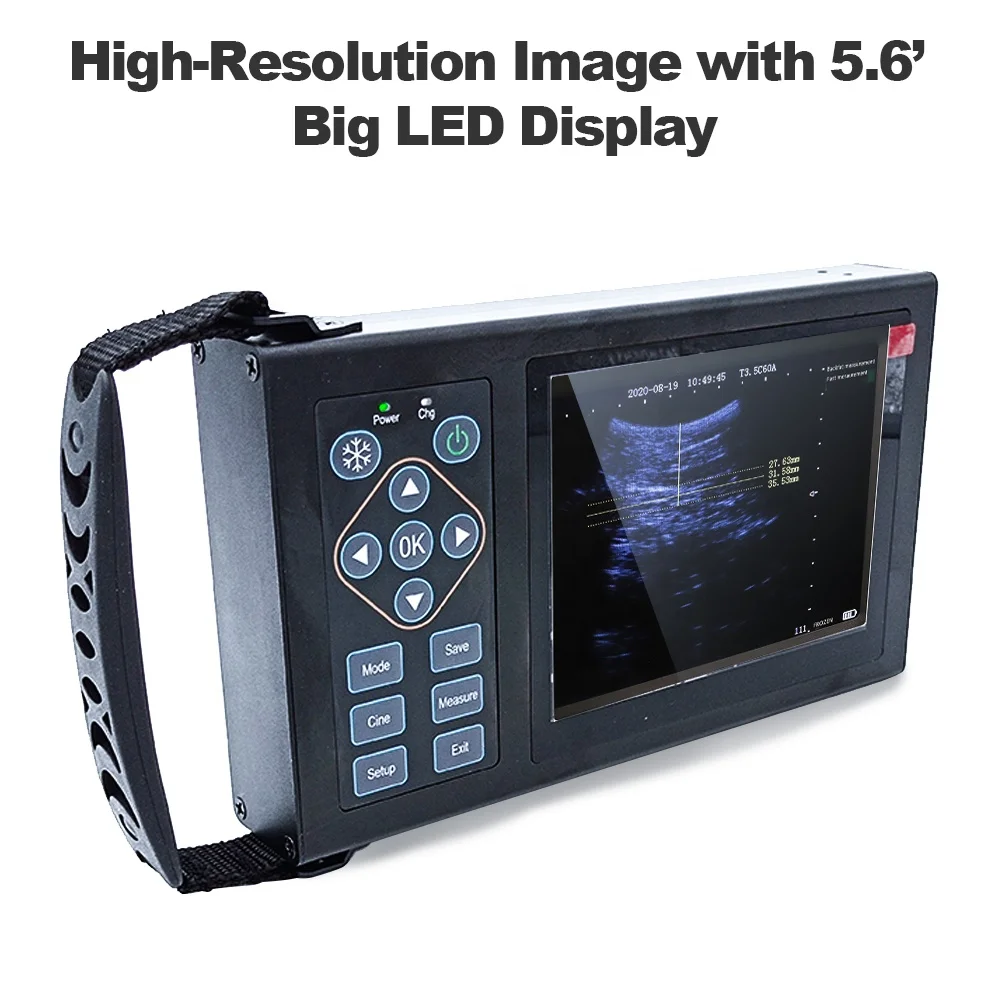 A10 ручной цифровой портативный Usb ноутбук устройство для домашнего животного Sonoscape ультразвуковой сканер инструменты Vet ультразвук