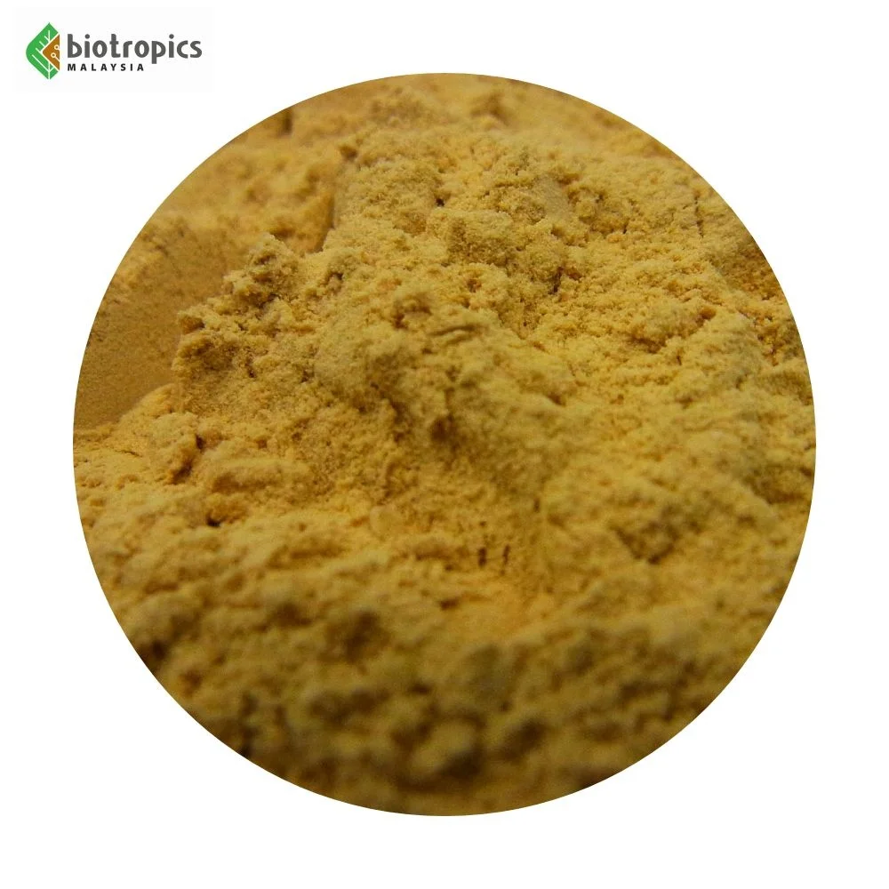 Malaysia Tongkat Ali 100% Root Part Water Extract Organic Food Grade Physta Protein Powder for Use in Food & Beverages