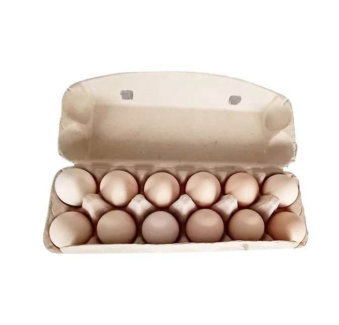 Mini Recycled Paper Recycling Carton Paper Pulp Egg Tray Making Machine