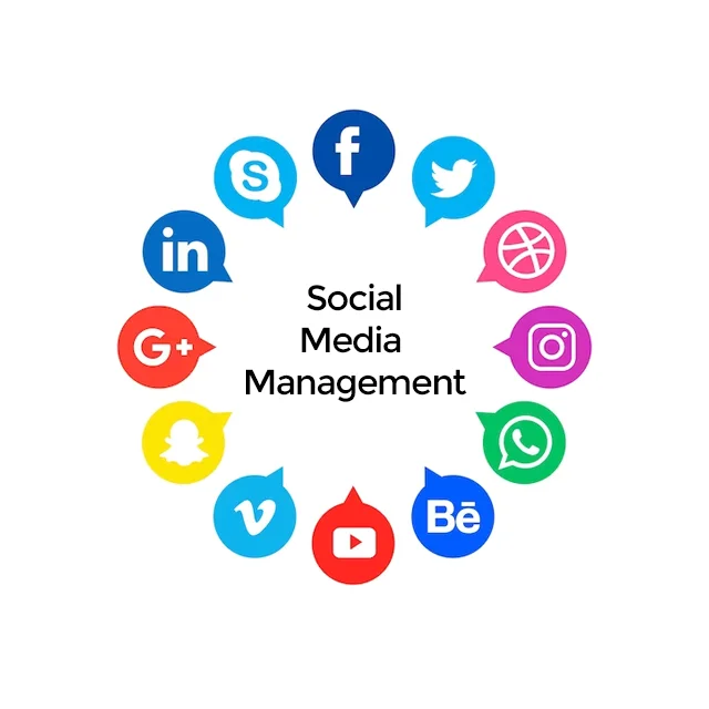 Digital Advertising Campaigns Strategies for Choosing the Best PPC Agency High-Impact