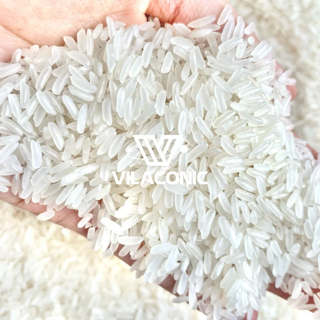 Fragrant Jasmine Rice 5% 10% 15% Broken Vietnamese Rice Whole Sales Good Price Riz
