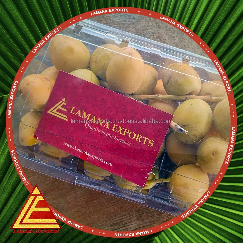 
Barhee Dates / Palm Dates / Date Fruit 100 % fresh and Natural with best prices and discount 