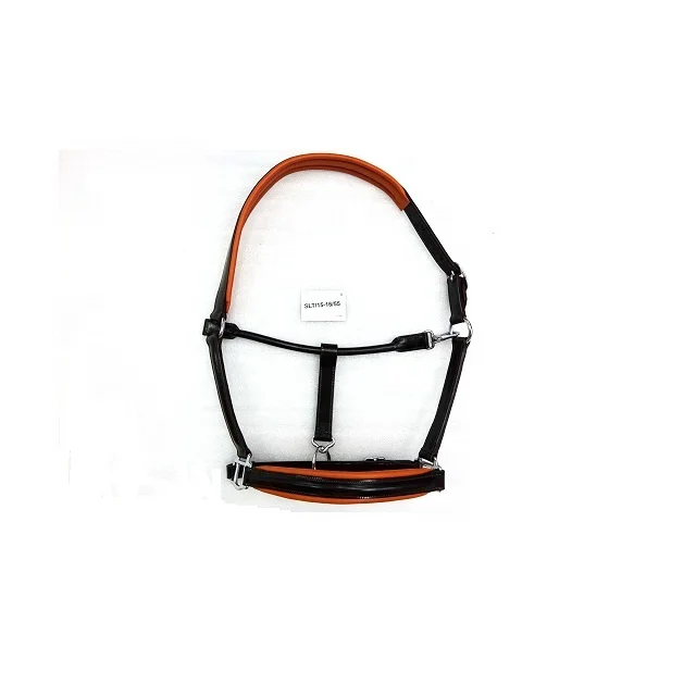 Leather Halter with name plate