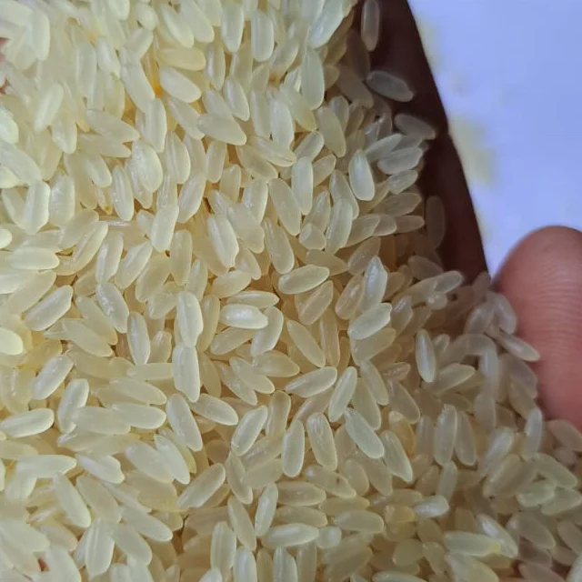 Top Quality Non Basmati Short Grain Swarna Rice for Export from India