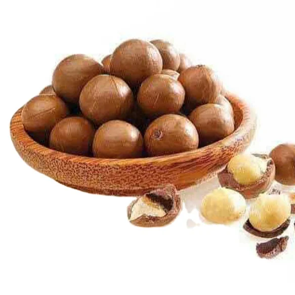 Maccadamia Nuts Raw Healthy Food Macca in Shell from Vietnam