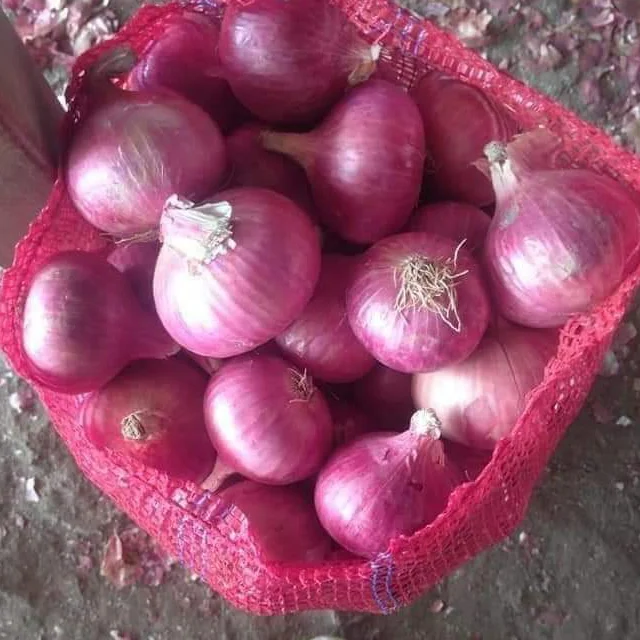 Лидер продаж, свежий лук высокого качества, новый урожай красного лука по оптовой цене из Индии