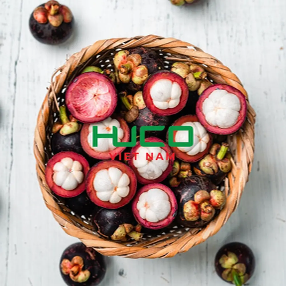 Hot sales fresh mangosteen from Vietnam
