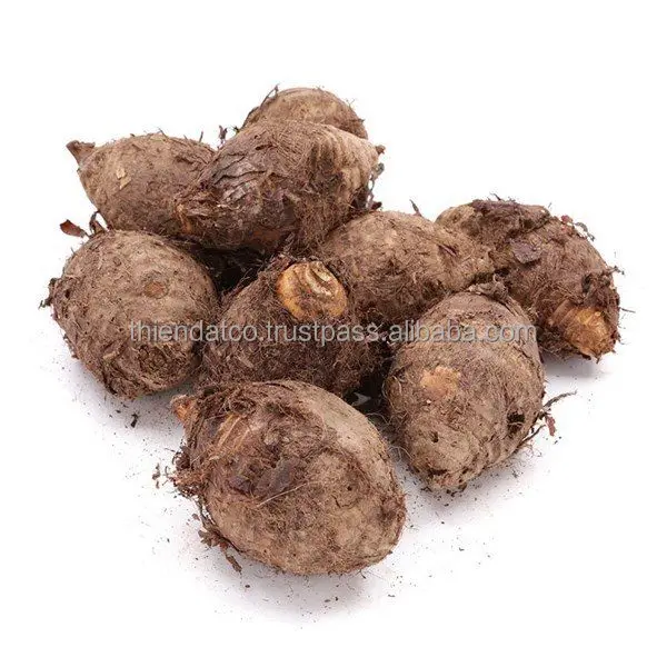 
FRESH YELLOW FLESH TARO ROOT VIETNAM WITH HIGH QUALITY 