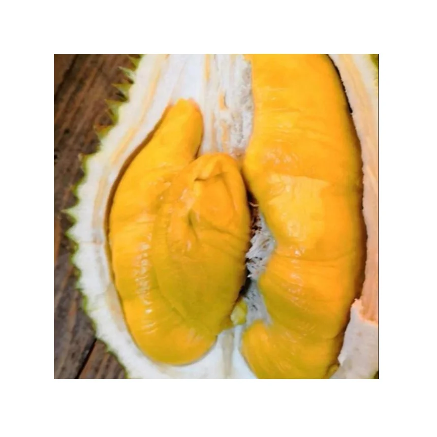 Premium Quality Frozen D197 Musang King Durian For Export Durian Malaysia Frozen Durian High Grade Flesh