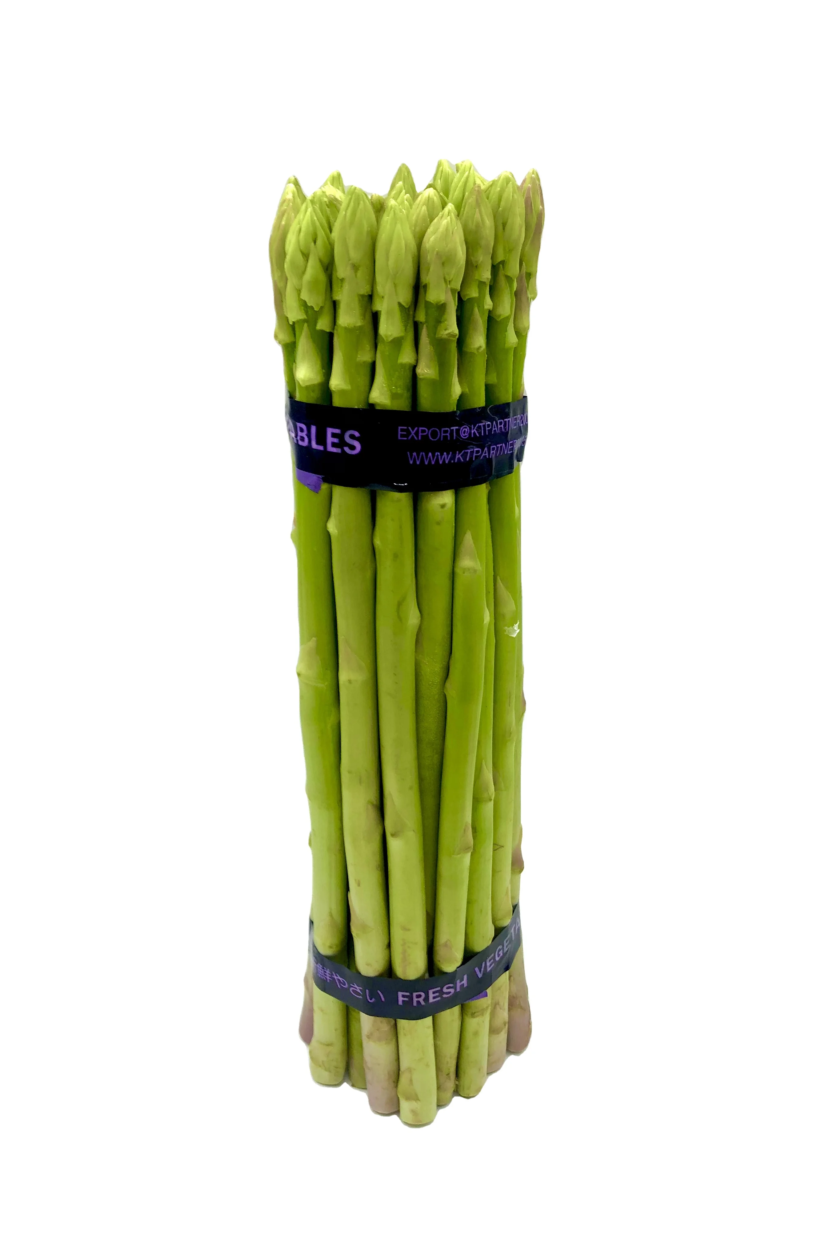 Premium Fresh green Asparagus from Local farmer in Thailand Guarantee Freshness and quality.