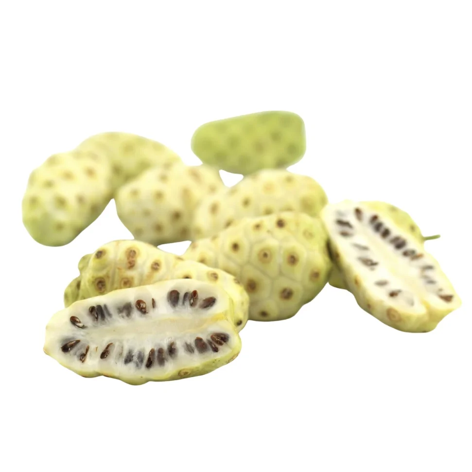 [NEW PRODUCT IN 2023] FRESH NONI FRUIT HAVE MANY GOOD FUNCTION FOR YOUR HEALTH. CONTACT SOON FOR CHEAP PRICES
