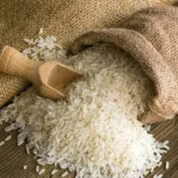 Fragrant DT8 Hottest Price Vietnam DT8 White Vietnamese Rice High Quality Customized Packing Medium Grain rice