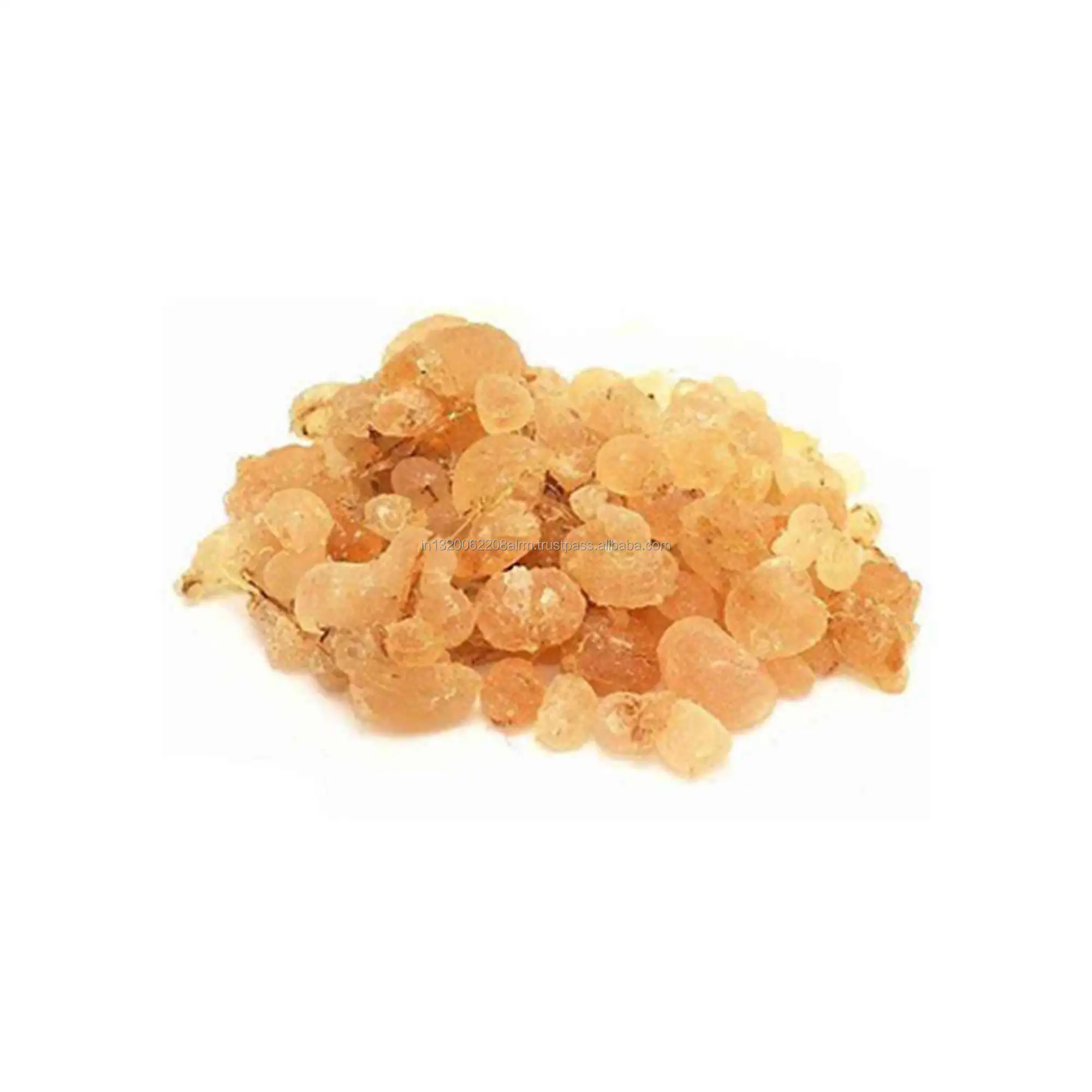 Acacia Gum Babul Gond Gum Kikar Babool Gond Gond Batan Dried Raw Herbs Wholesale Plant Extract Herbal Product