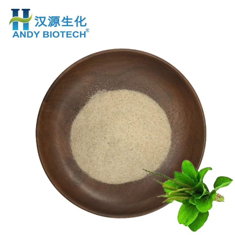 Factory Price Food Grade Plantago Ovata Extract 95% Psyllium Seed Husk Powder
