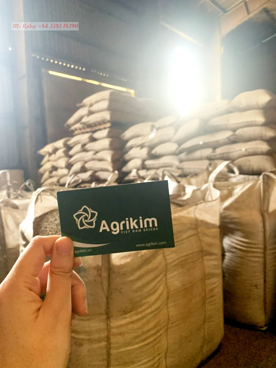 Best Price Robusta Coffee Bean from Vietnam Raw Green Coffee in Bag Packaging Directly Supplied by Mr. Henry +84 36 859 1192