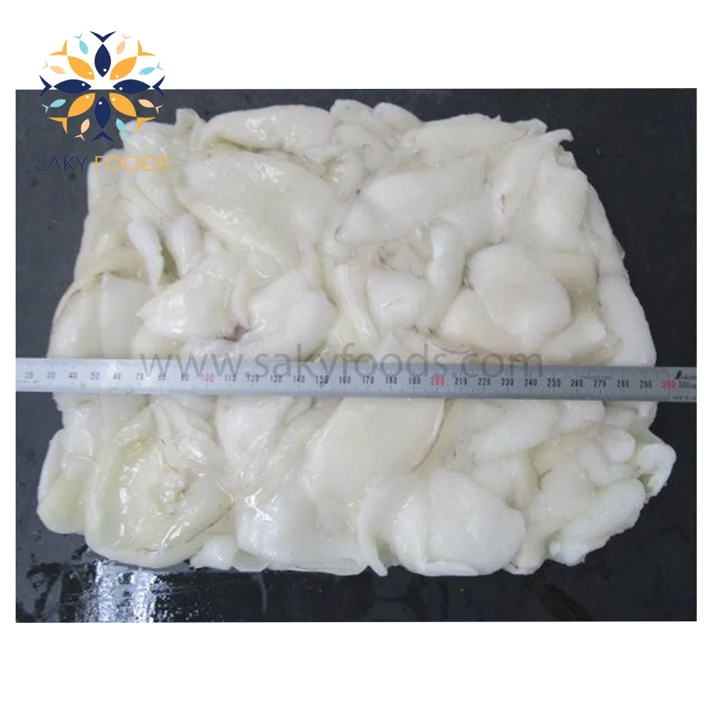 Cuttlefish Frozen Whole Cuttle Fish Fresh cuttlefish whole cleaned Viet Nam Supplier Block Bulk Style Packaging Package