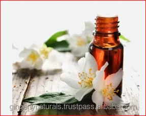 Indian Exporter of Hedychium oil