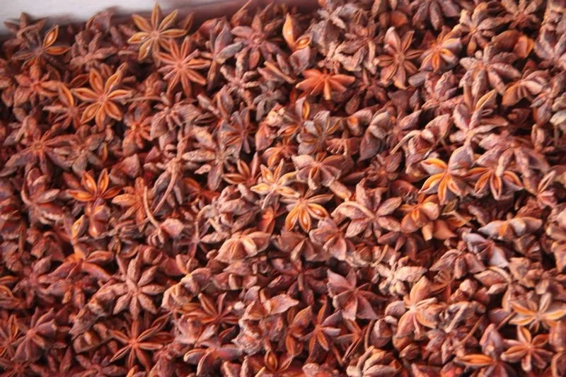 Dried Star Anise - Cheap Price- Natural Color