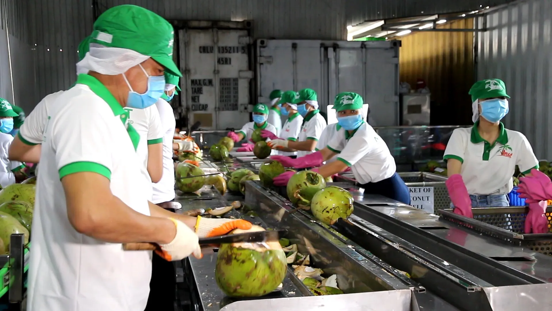 400ml Can (Tinned) Coconut Milk for cooking 17-19% Fat UHT Gluten Free and Vegan Product with Halal