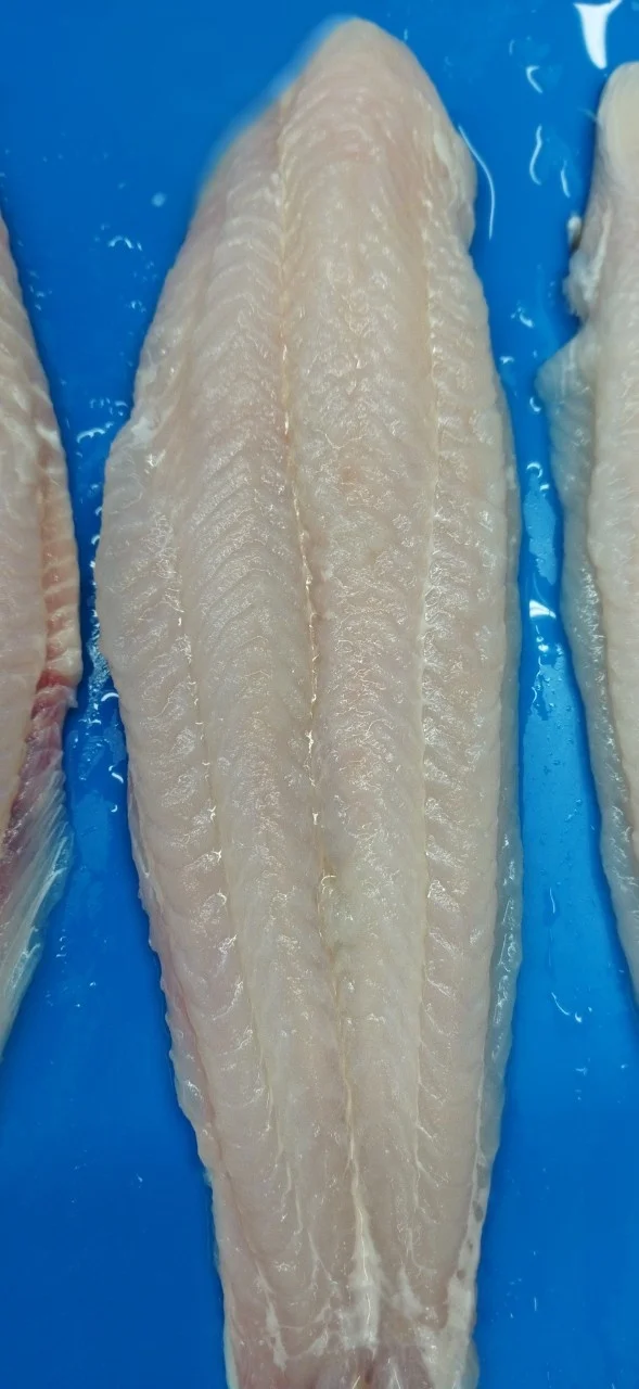 FROZEN PANGASIUS FISH FILLET  /BASA FISH FILLET SKIN ON FROM VIETNAM