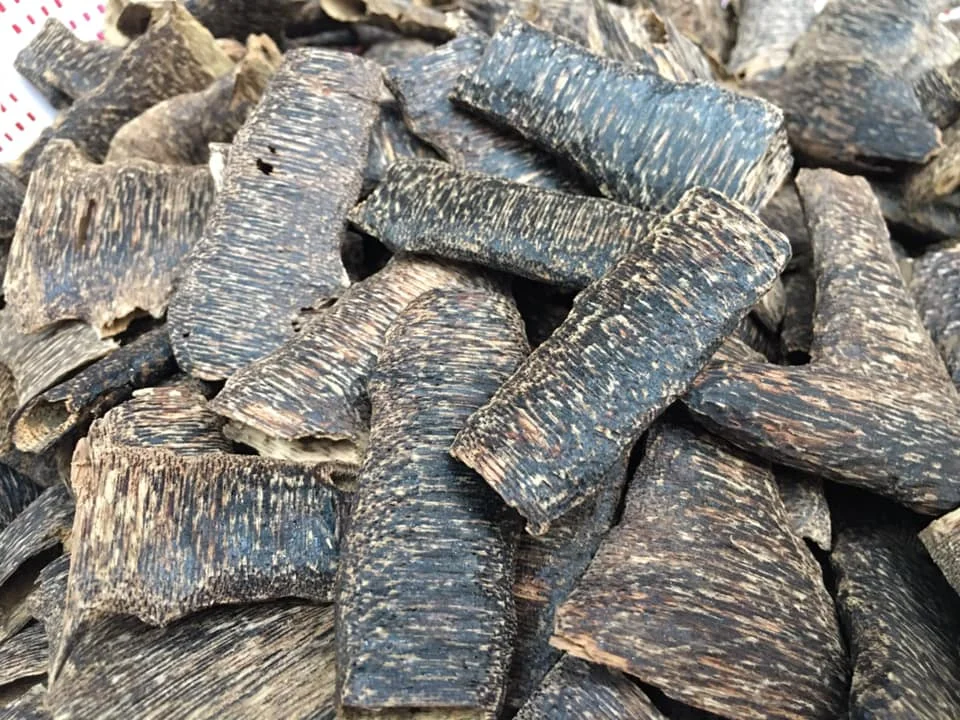 Natural Premium Organic Agarwood Chips Super Grade Aloeswood Eaglewood Gharuwood Chunks  Oudh Incense Fragrance Sweet Full Oil