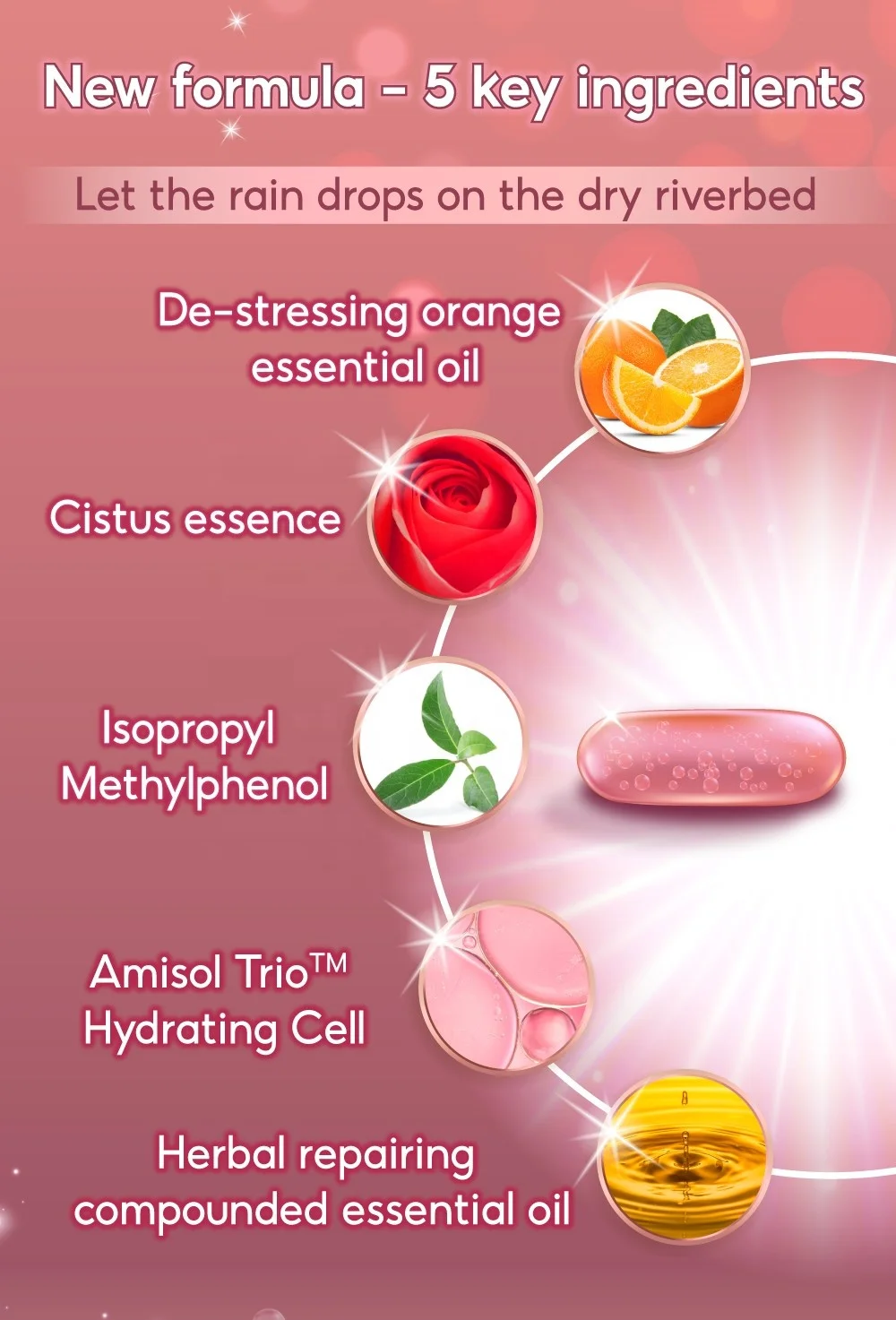 Silicone-Based Rose Flavored Lubricant Personal Lube For Men Women And Couples