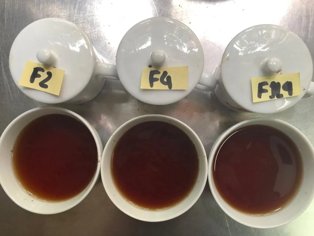 Vietnam black tea Fanning Flavor Tea cheapest price Assam Tea