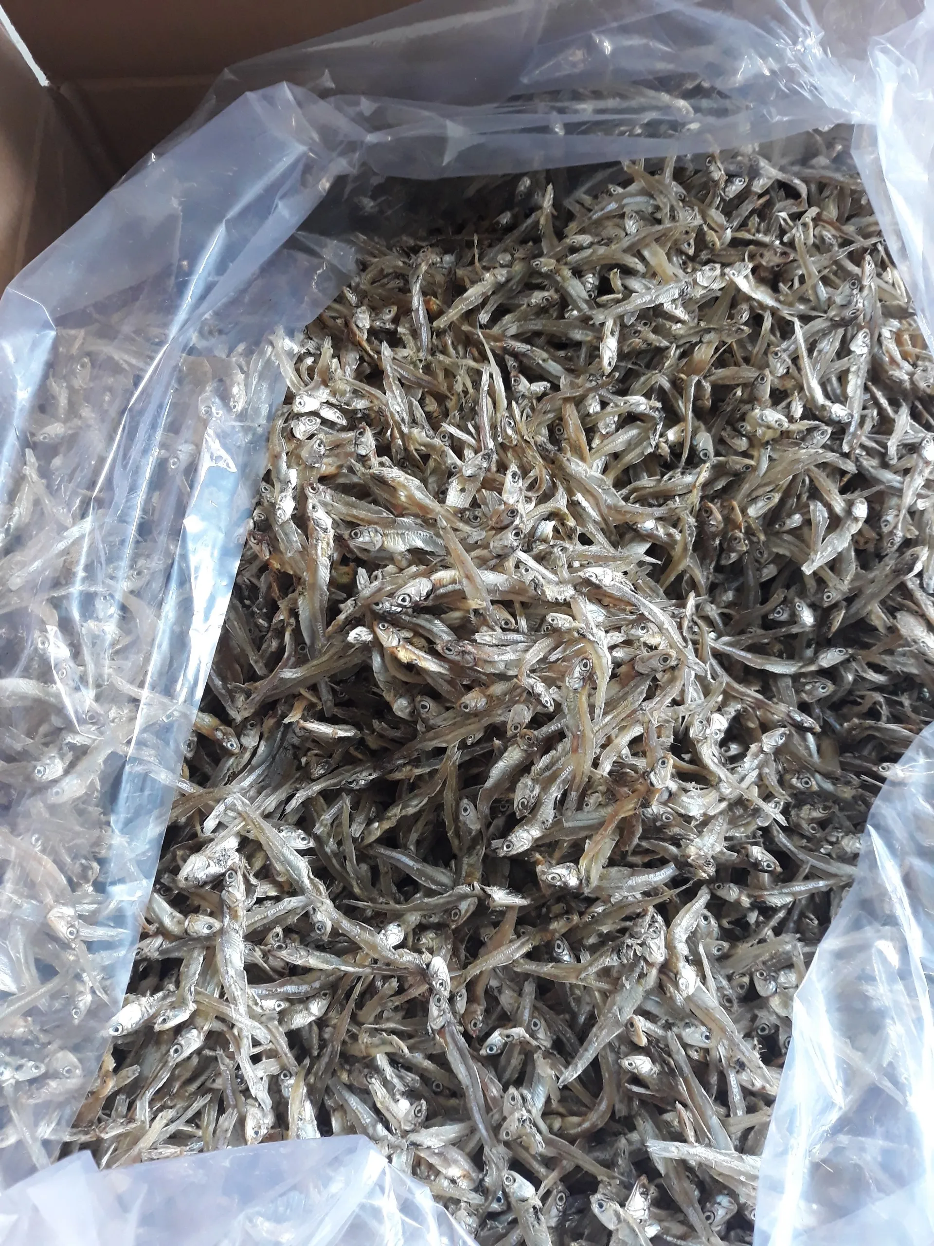 Whole Dried White Anchovy Fish No Salt Added With 100% Natural Anchovy From Sea  Mary