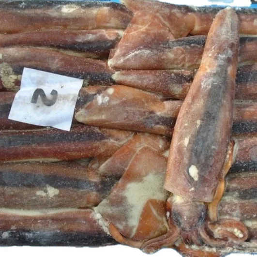 TOP SALE GUARANTEED QUALITY WHOLESALE PRICE FROZEN ILLEX SQUID SEAFROZEN-JIGGER