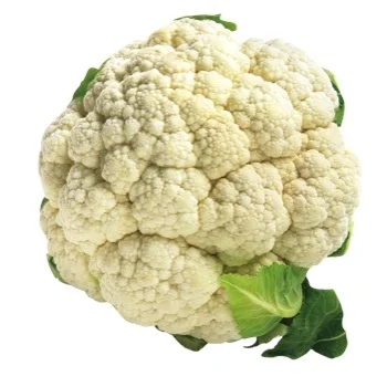 Fresh Cauliflower Common Wholesale Other Fresh Vegetables High Quality Fresh Vegetable Cauliflower