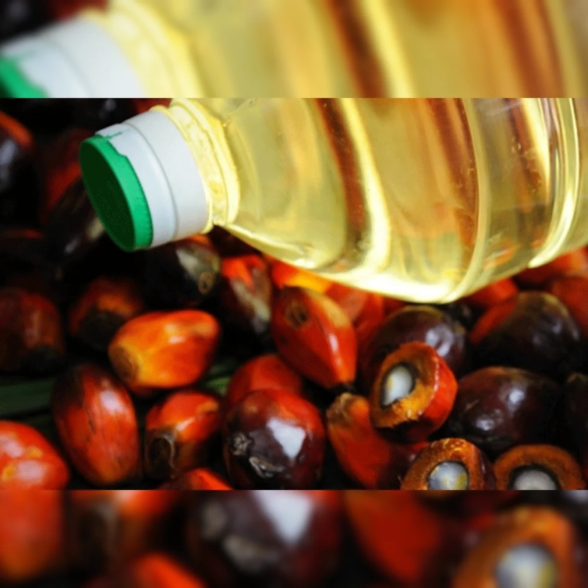 Натуральное органическое 100% чистое пальмовое масло сырое