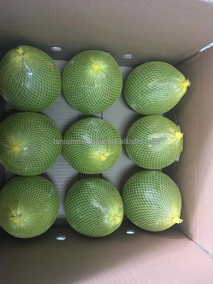 Green Pomelo Fresh Fruits High Grade Pomelo Fresh Pomelo Fruit Grapfruits frozen