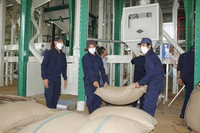 Native Tapioca flour modified tapioca starch organic tapioca starch Vietnam manufacturer for wholesale - ANNA DO WA+84982153058