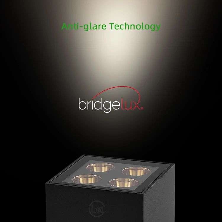 Exterior Spot Light IP65 Spotlight Outdoor Garden Lightings Modern Landscape Lamp Garden Outdoor Less Glare Ceiling Light