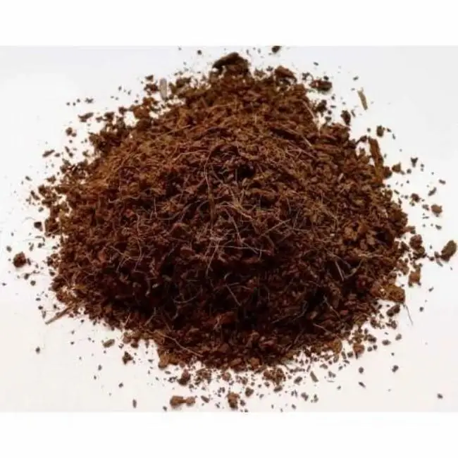 High Quality Performance Buffered Coir Peat 5kg Blocks Eco-Friendly 4732 Blocks in 22 Pallets for Garden Decoration Horticulture
