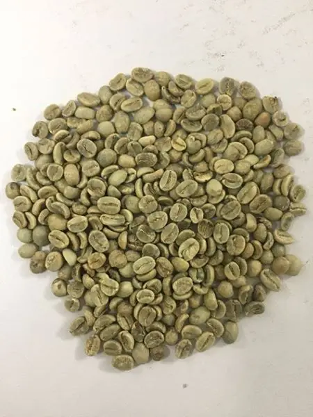 Robusta & Arabica зеленые кофейные зерна/Промытые Арабика зерна/жареные зерна